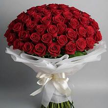 Букет 101 Красная роза Блэк Мэджик в Красноярской Ростовская область