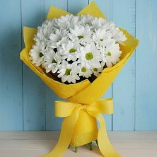 Букет цветов из:  Хризантемы в Красноярской Ростовская область