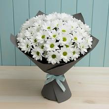 Букет цветов из:  Хризантемы #REPLACE_PRED# Красноярской Ростовская область