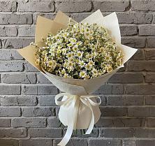 Букет цветов из:  Ромашки в Красноярской Ростовская область