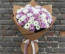 Букет цветов из:  Хризантемы в Красноярской Ростовская область