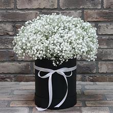 Цветочная композиция из Гипсофила в шляпной коробке в Красноярской Ростовская область