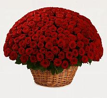 Премиум букет из: Розы в Красноярской Ростовская область