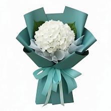 Букет цветов из:  Гортензия #REPLACE_PRED# Красноярской Ростовская область